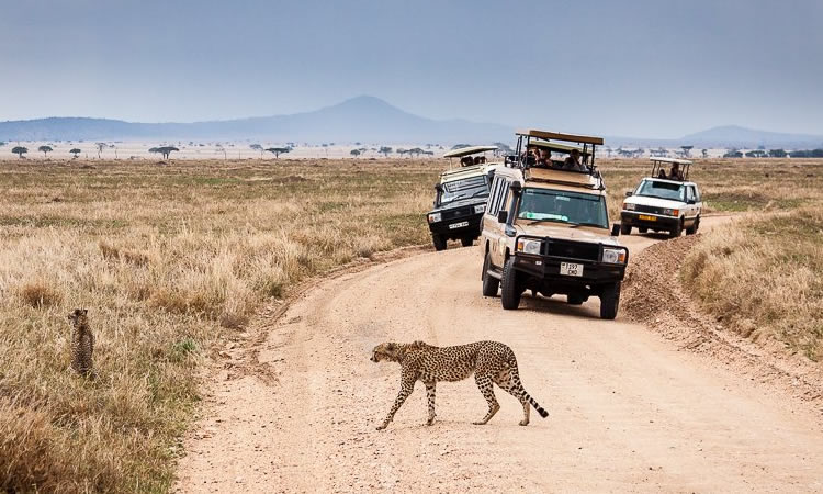 overland